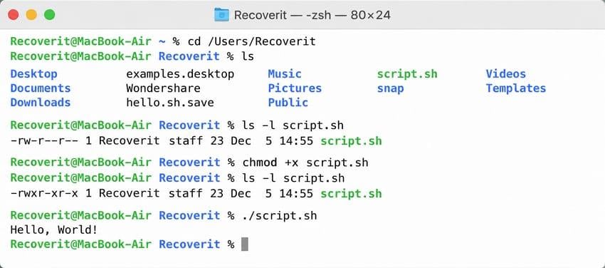 mac terminal showing chmod u plus x and successful script execution
