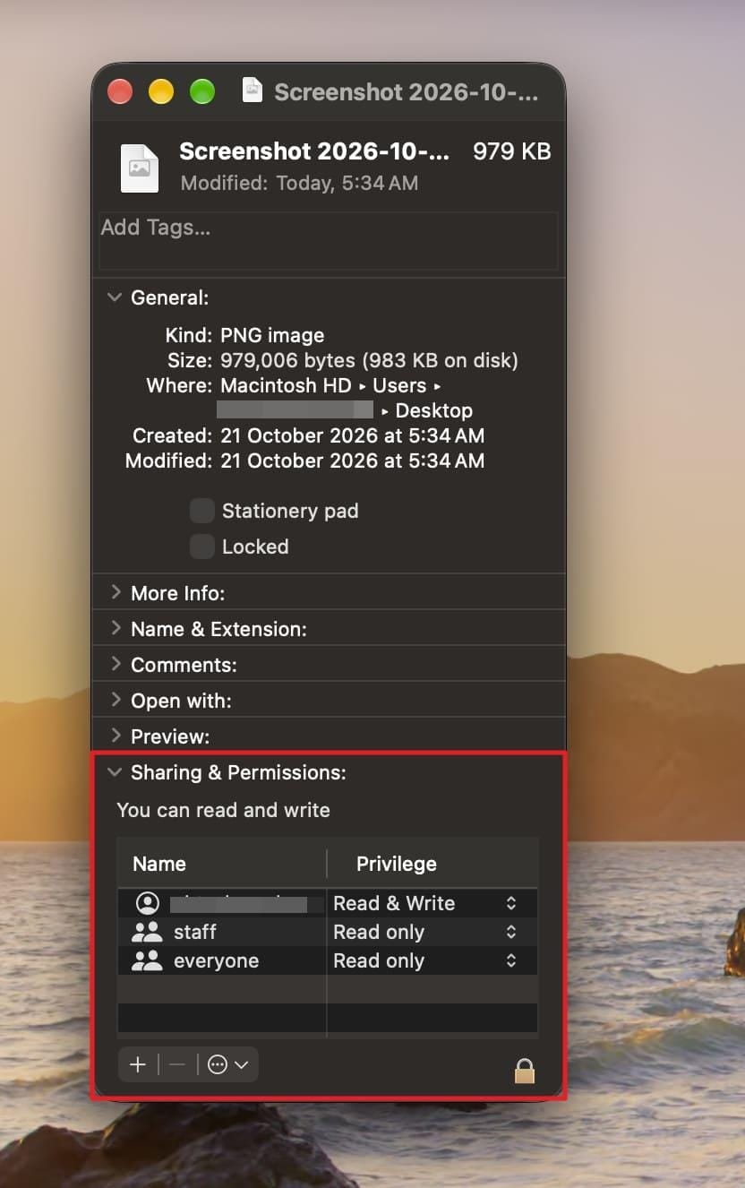 finder get info panel showing sharing and permissions on mac