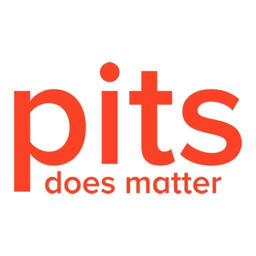 Todo lo que necesitas saber sobre los servicios de recuperación de datos de PITS + la mejor alternativa