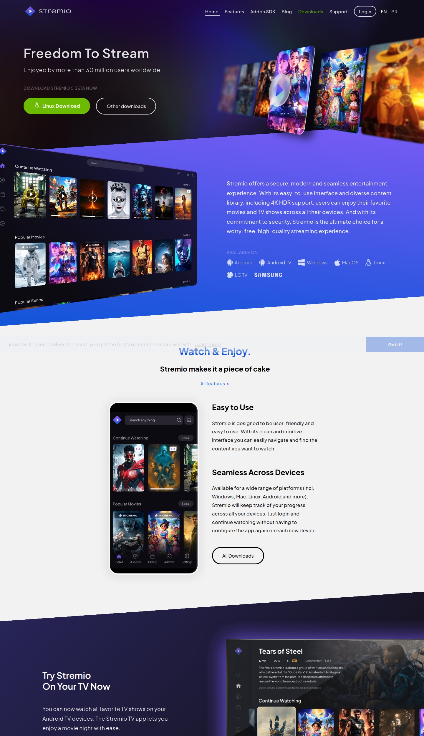 stremio streaming platform interface