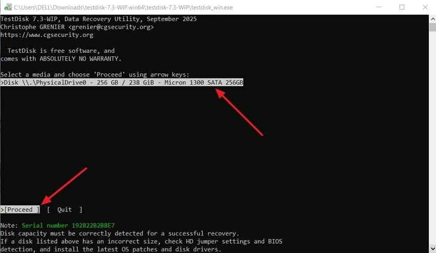select raw drive in testdisk