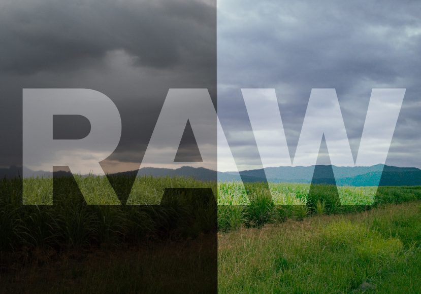 basics of raw photo file