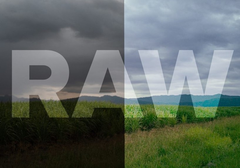 overview raw image format file