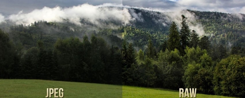 difference between jpeg and raw images