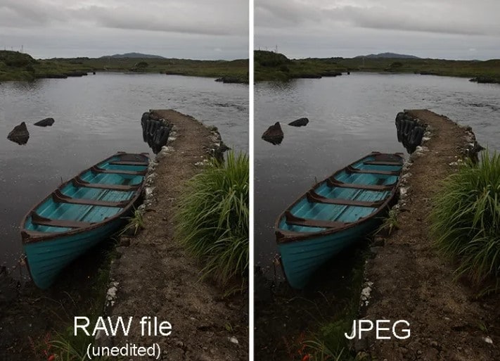 professional photographers prefer raw or jpg