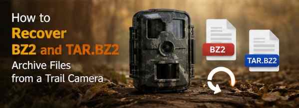 How to Recover BZ2 and TAR.BZ2 Archive Files from a Trail Camera