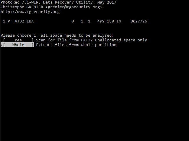 disk scanning format