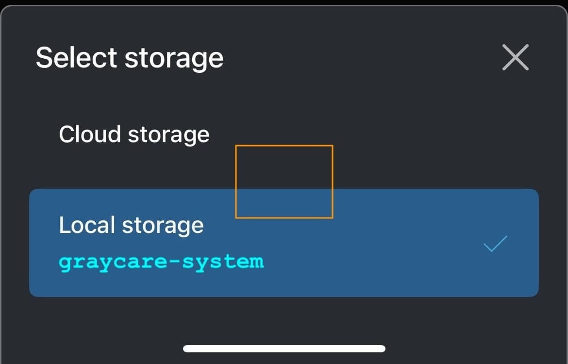 older blink app select storage menu with cloud and local storage options