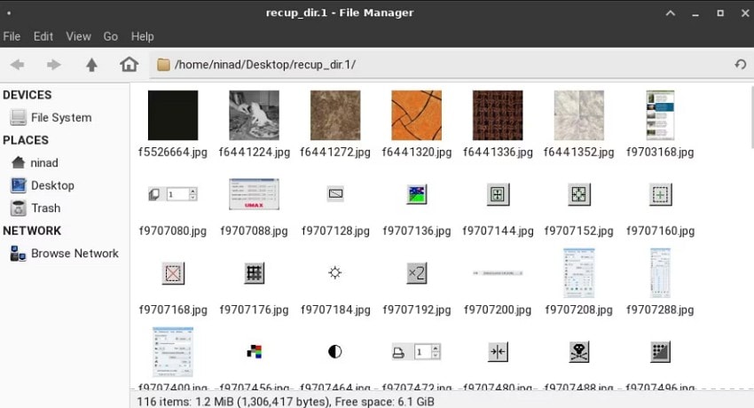 review the recovered files