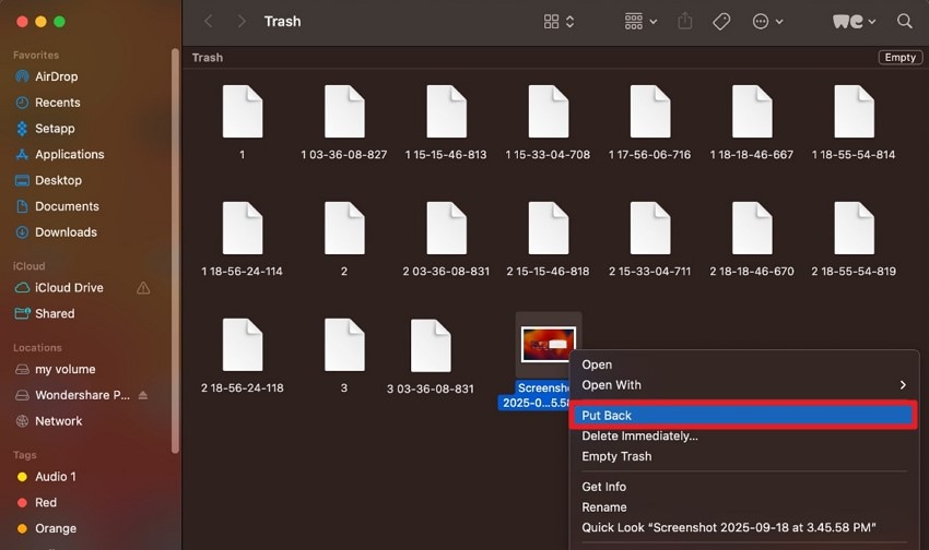 restore from mac trash