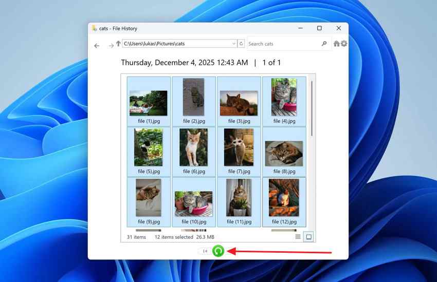 access file history