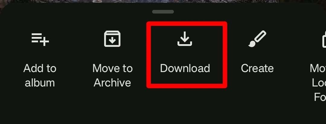 recover images from google photos