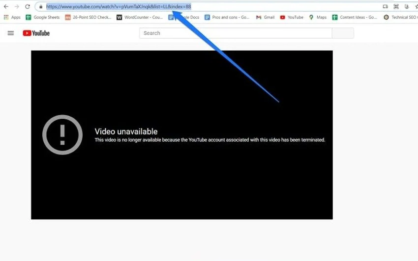 copia l'URL del video di YouTube