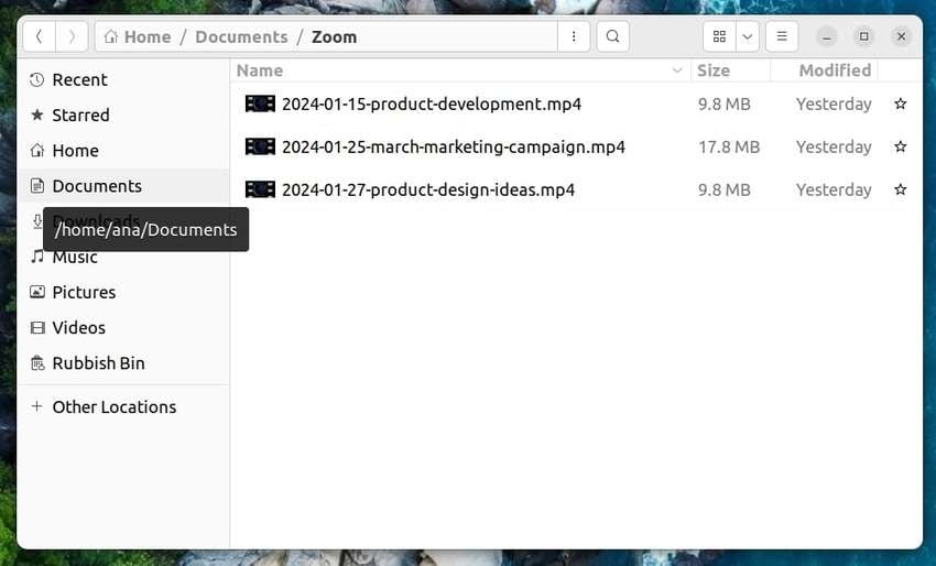 zoom folder on linux