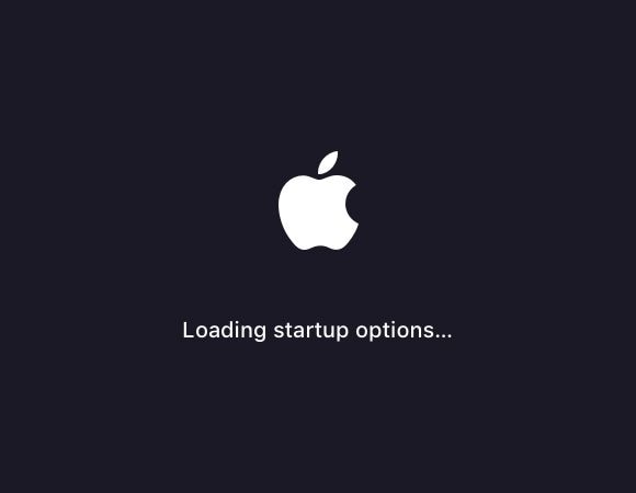 mac loading startup options