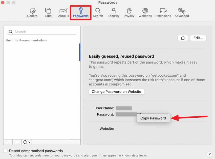 check apple saved passwords
