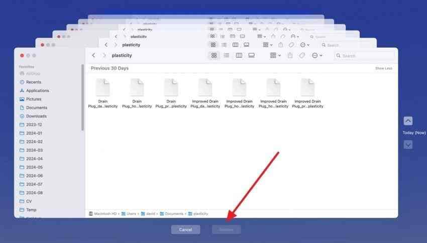 restore selected files from an earlier time machine backup