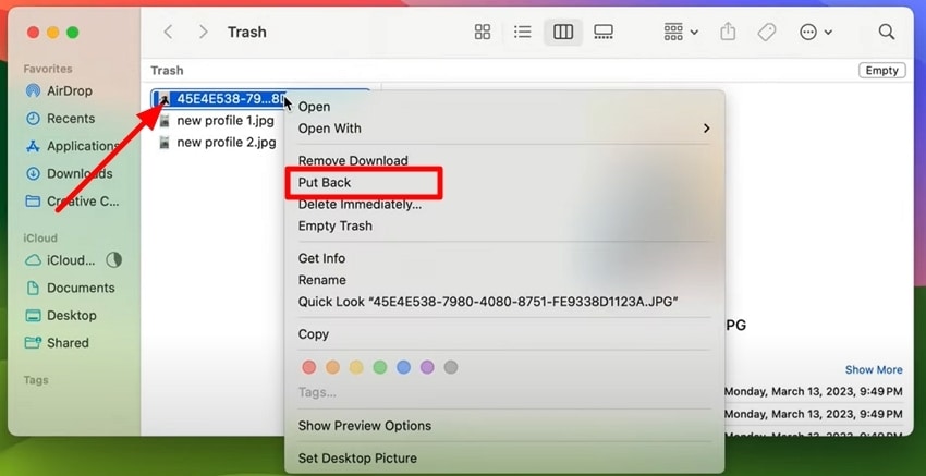 put back files from trash