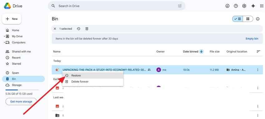 restore deleted file from drive