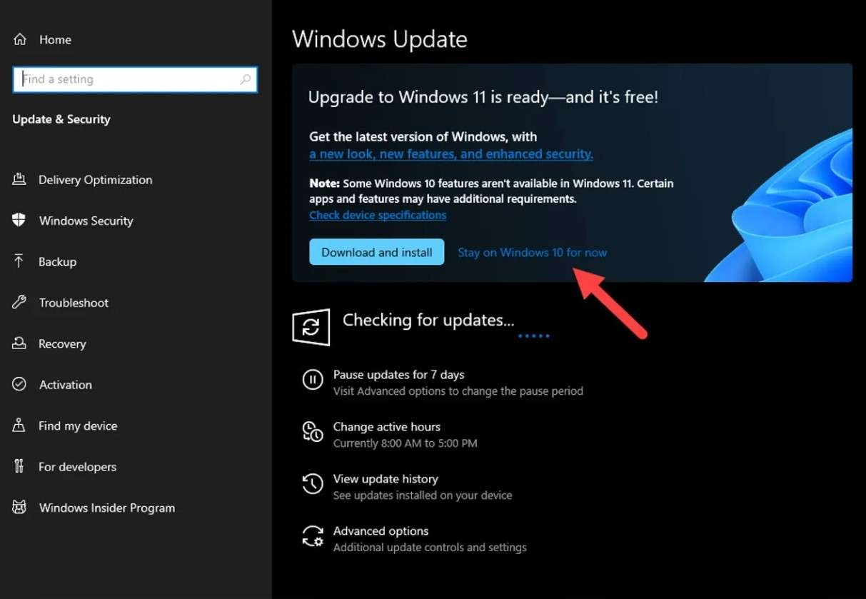 ¿Cómo recuperar archivos después de una actualización de Windows 11?