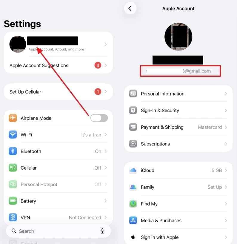 check apple account email settings