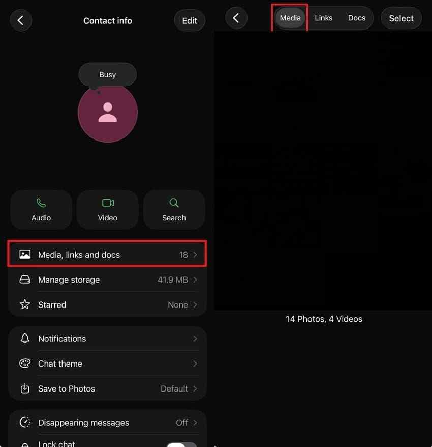 browse whatsapp chat media photos