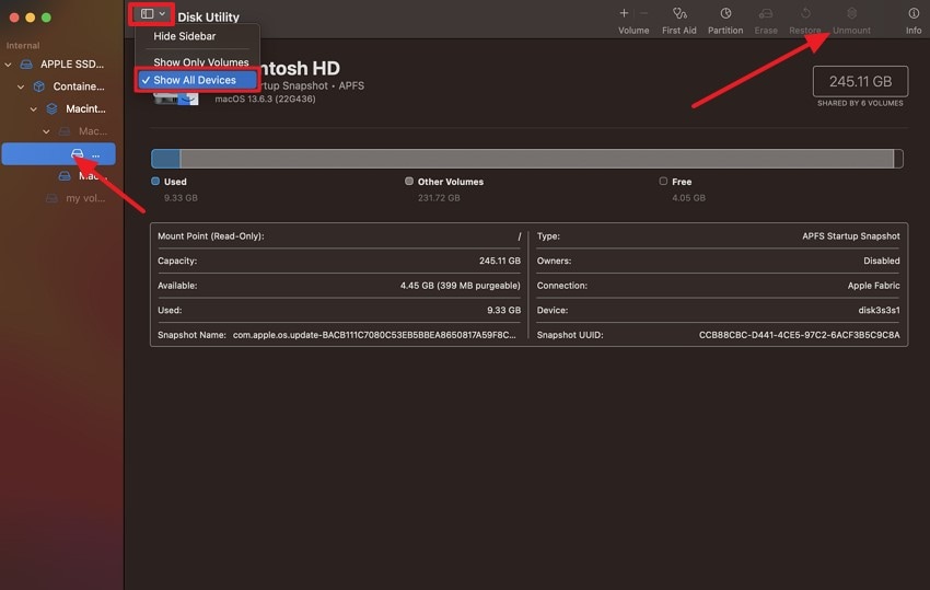 verify disk utility mount or unmount