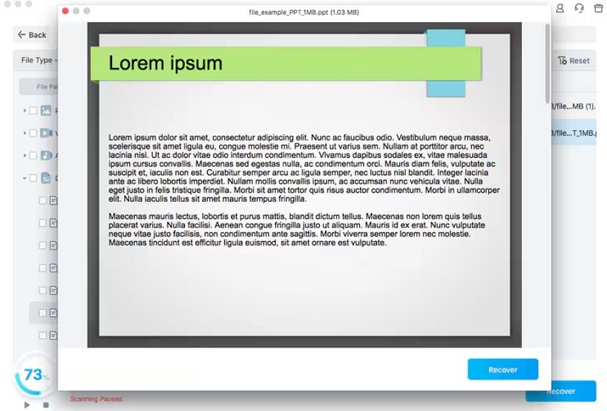 preview file and recover
