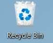 open the recycle bin 