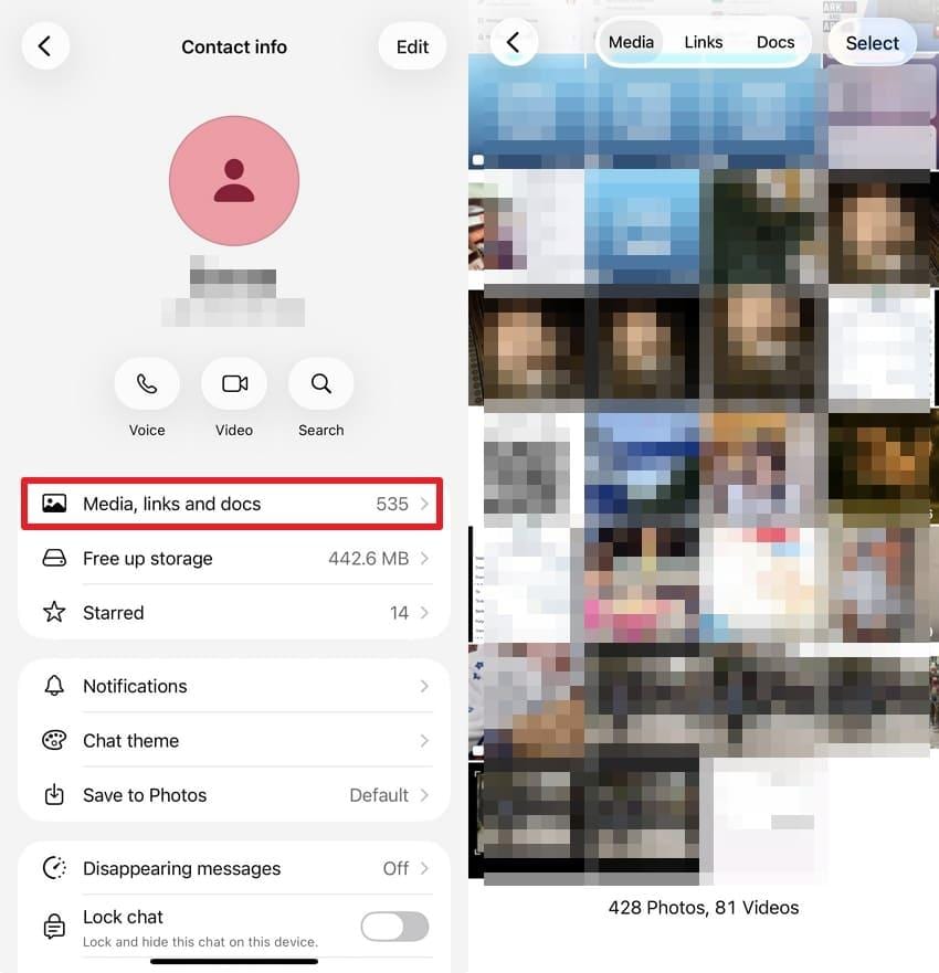 media links and docs in an iphone whatsapp chat