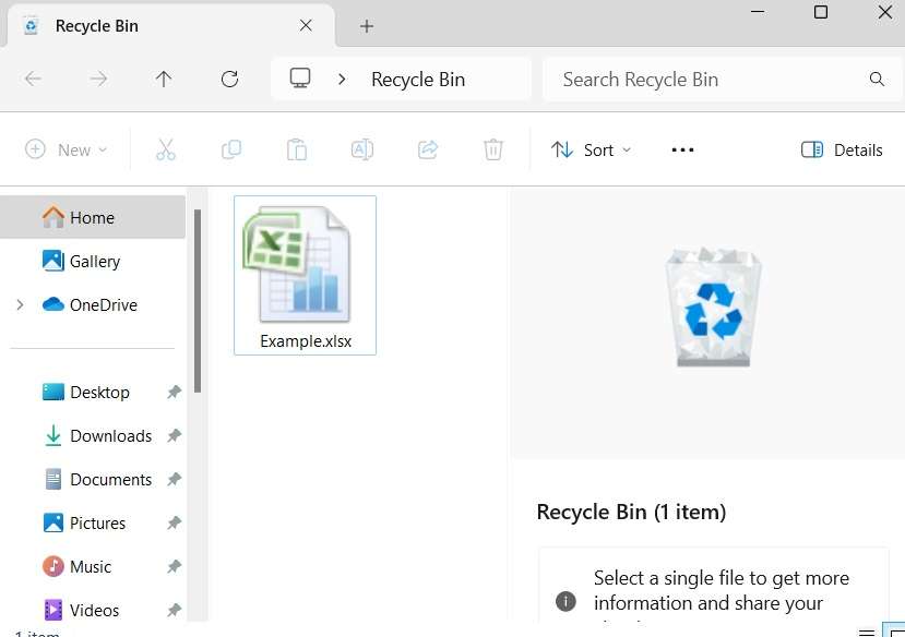 recycle bin contents