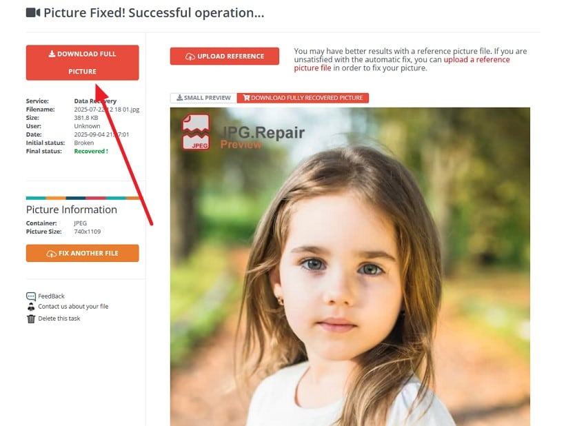 download repaired photo