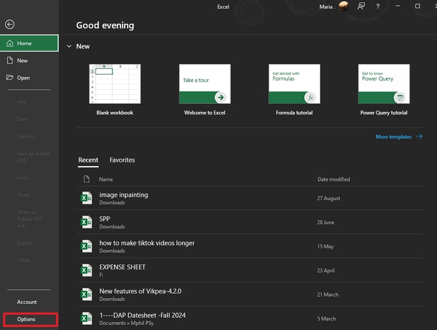 enter options tab on excel