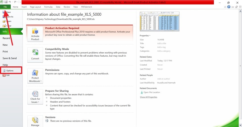 select options from file tab