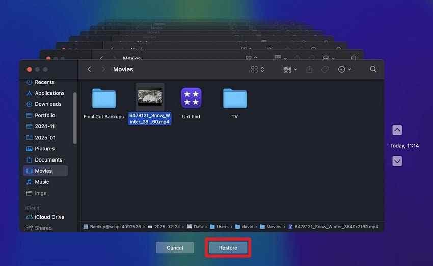 restore an older file with time machine