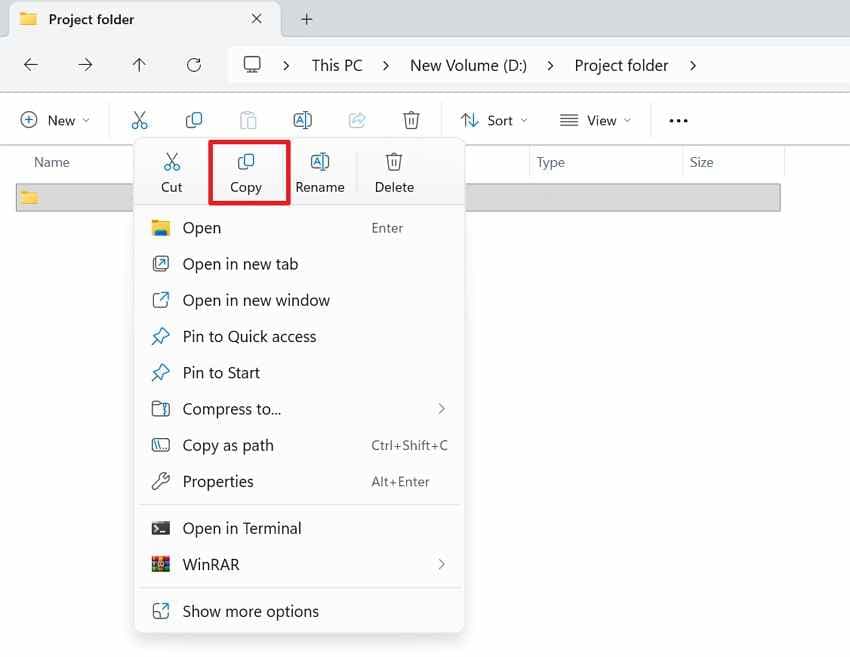 copy an earlier file from a backup folder