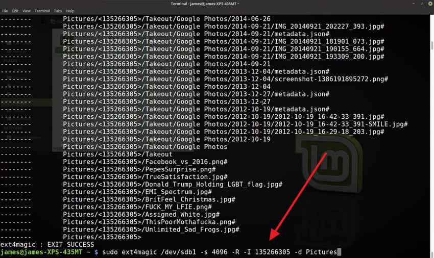 run ext4magic