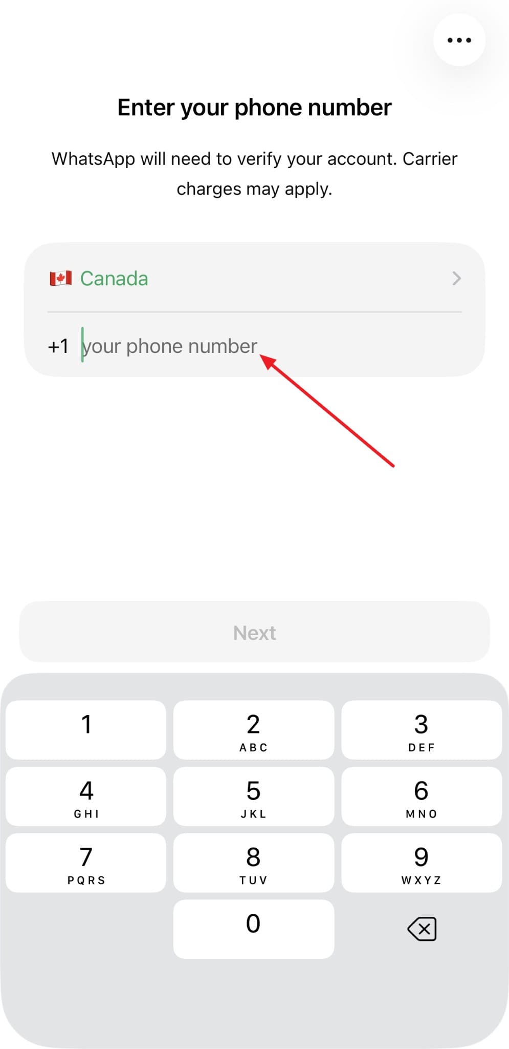 enter whatsapp phone number