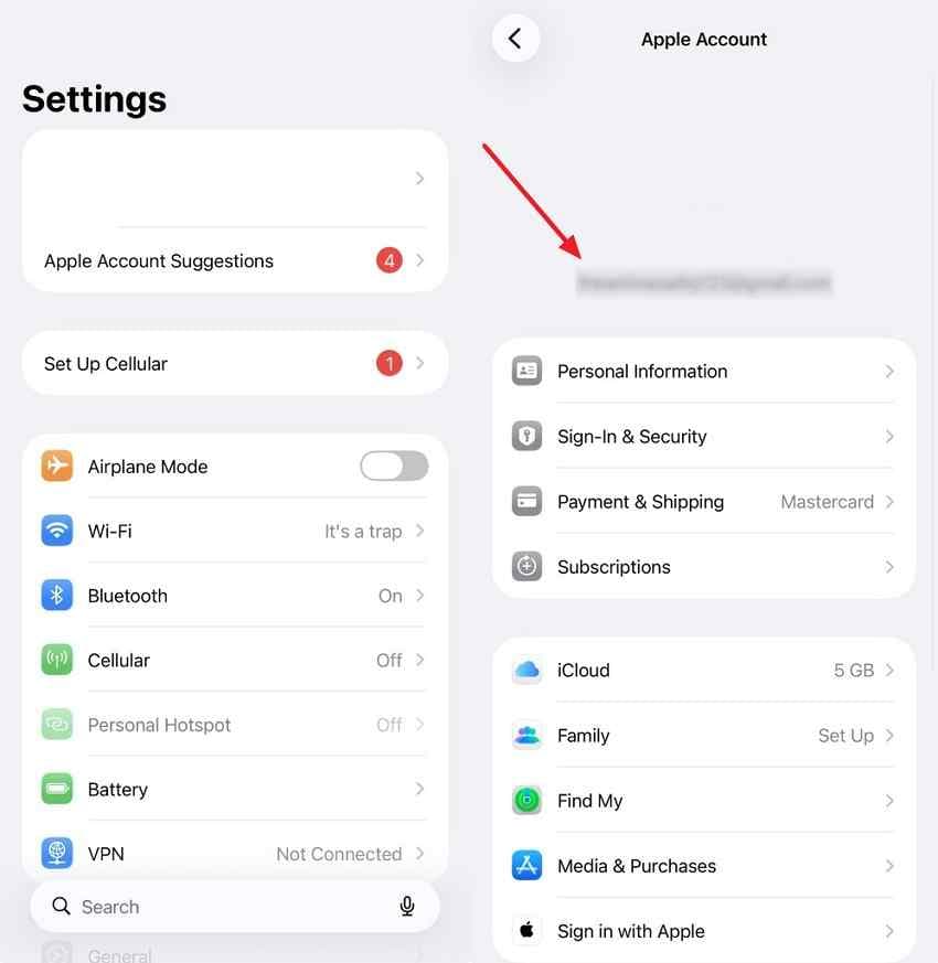check apple account on iphone