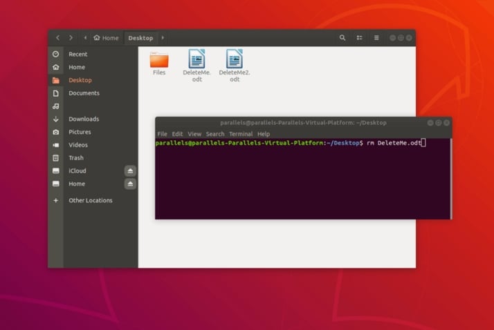 deletea file in ubuntu with rm