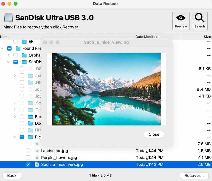 data rescue mac preview of a recovered photo from a sandisk usb drive