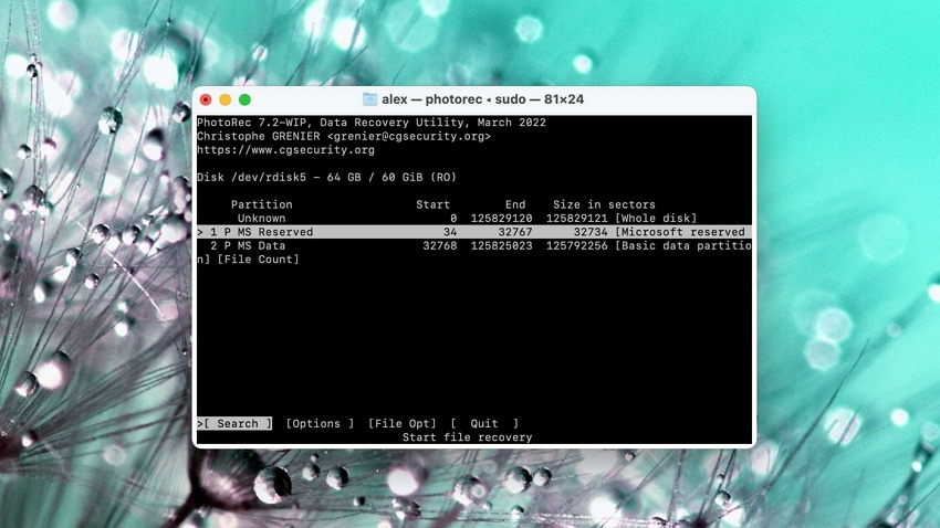 photorec sd card recovery mac