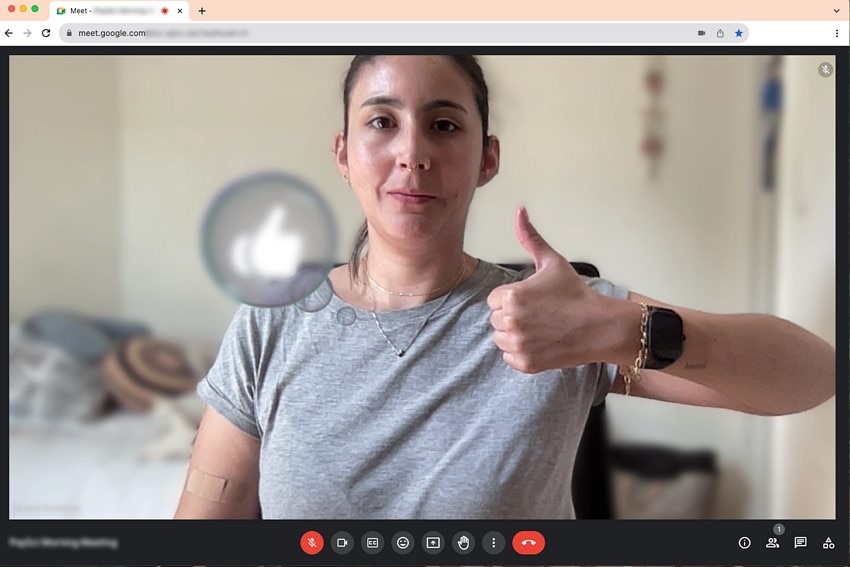 macos sonoma video conferencing