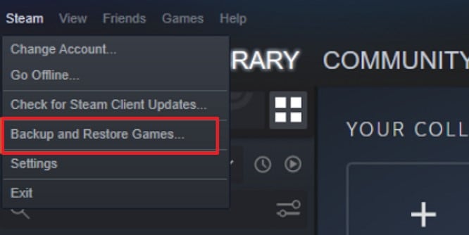 choose steam backup process