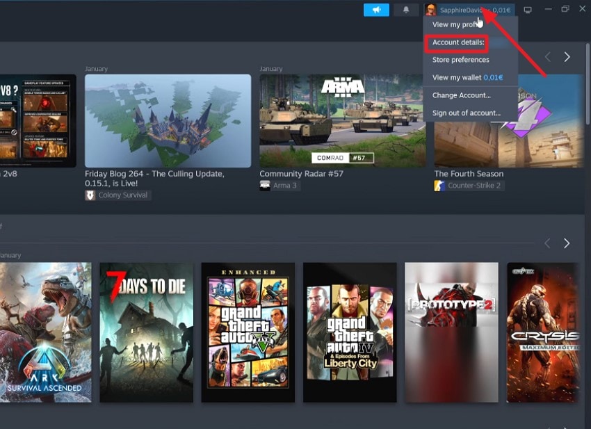 open steam access account details