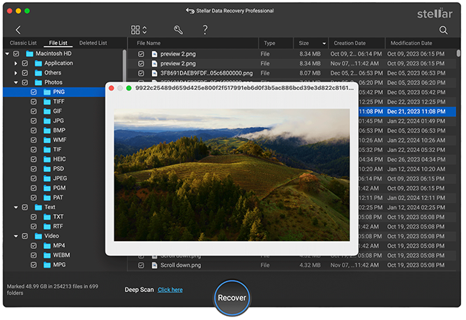stellar data recovery professional preview interface on mac