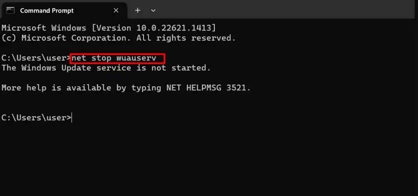 stop update services