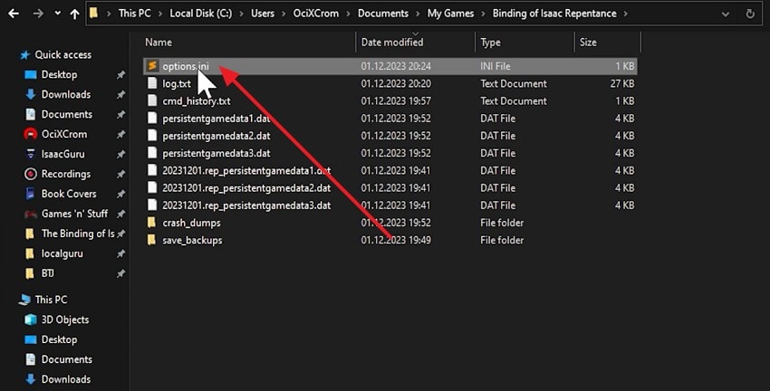 locate isaac config folder