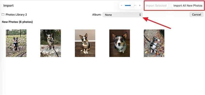 review photos before mac import