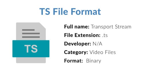 what is ts file format